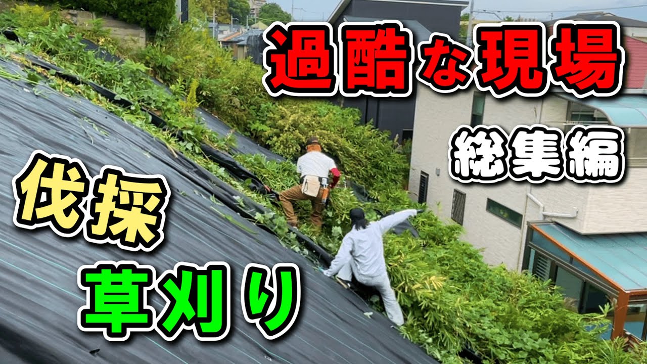 緑を綺麗にするのが最高に楽しい【総集編】