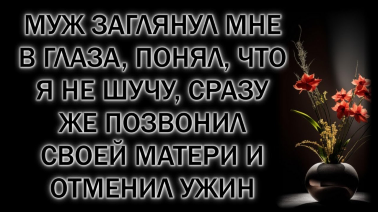 Муж заглянул мне в глаза, понял, что я не шучу, сразу же позвонил своей матери и отменил ужин