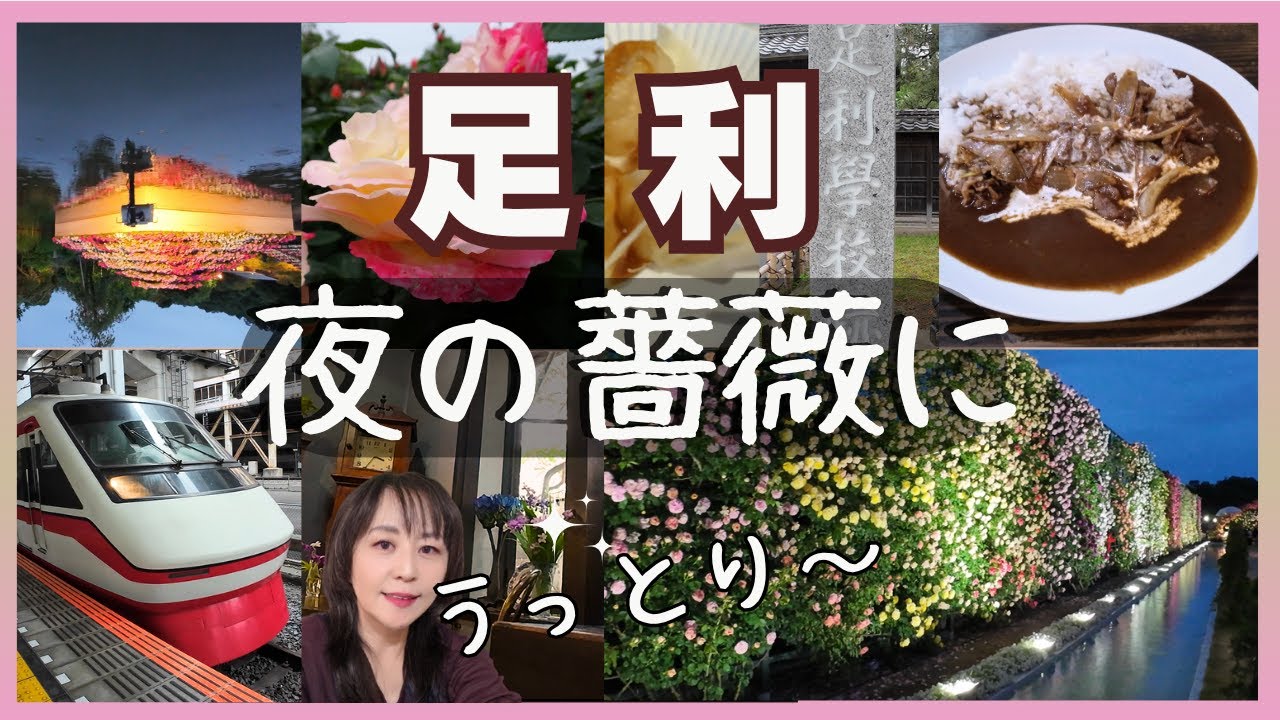 【栃木県足利市】あしかがフラワーパークとレトロな足利グルメ