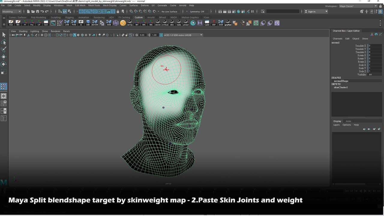 Maya Split blendshape target by skinweight map - 2.Paste Skin Joints and weight