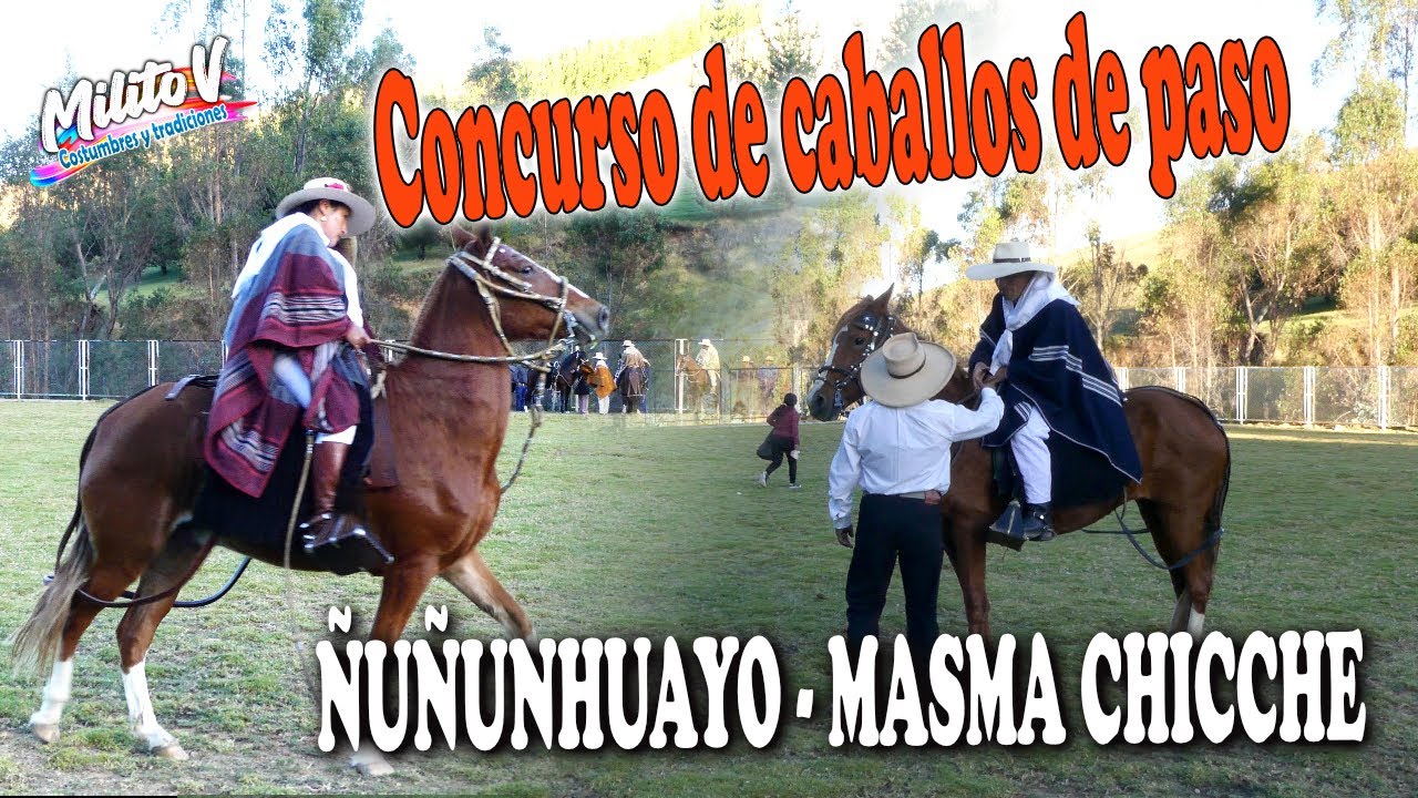 CONCURSO DE CABALLOS DE PASO 2024 - Ñuñunhuayo - Masma Chicche 2