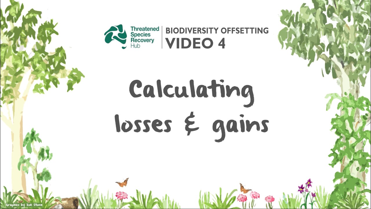 Video 4: Calculating Losses and Gains