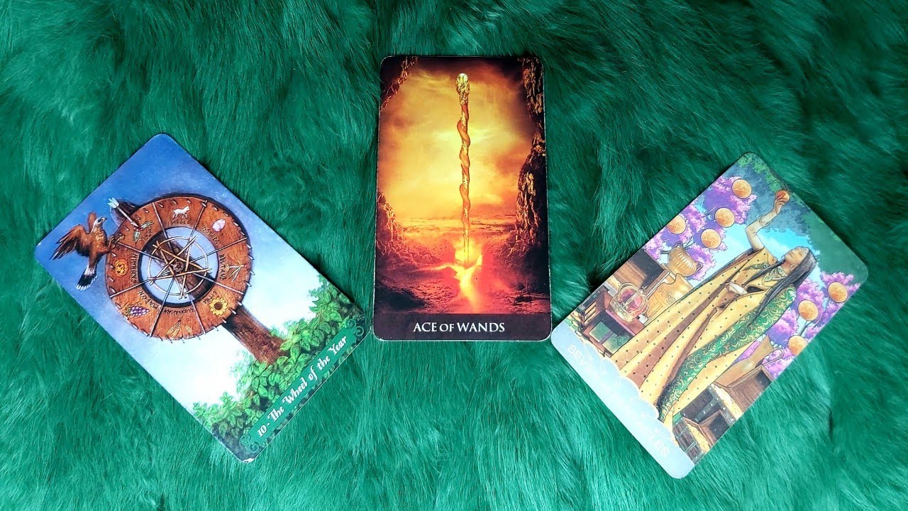 AI XÁC ĐỊNH KHI YÊU LÀ SẼ CƯỚI BẠN? TẠI SAO? @EvelynTarot