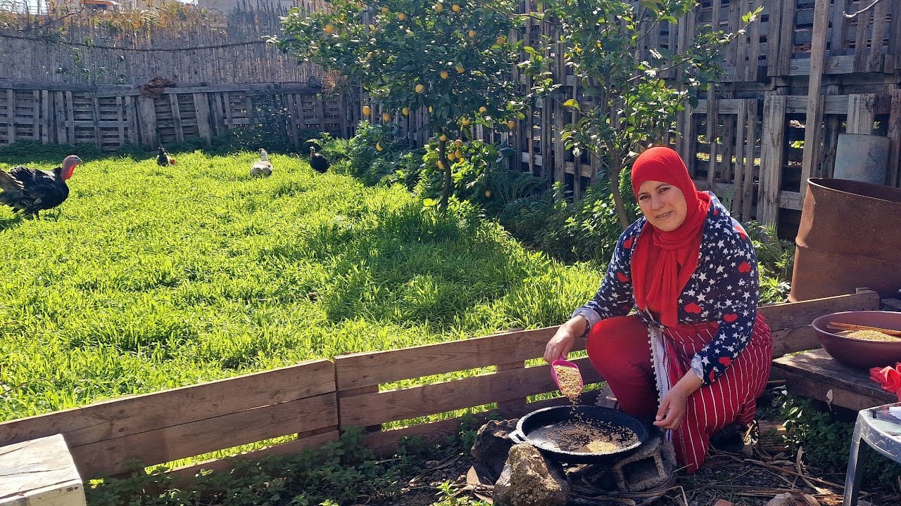 بدأت  بثًا مباشرًا مرحبا بكم معي خوتا🫶 اتشوفوا معي الطريقه تحمر الزرع ا🇲🇦للي غادي نديره في الصفوف