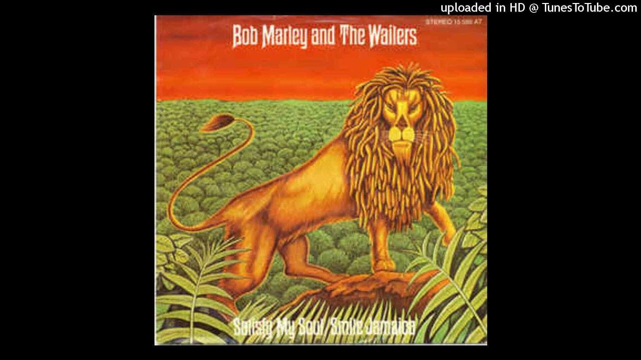 Bob Marley - Satisfy my soul [instrumental]