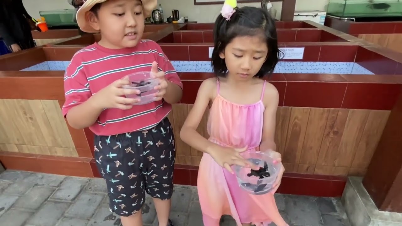 Sindu Dwarawati Turtle Conservation @ Sanur Bali 2023