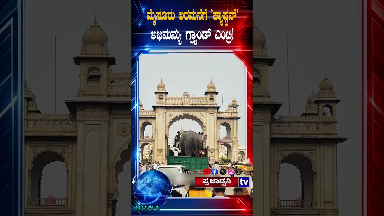 'Captain' Abhimanyu's Grand Entry to Mysore Palace! | #captainabhimanyu #mysurudasara #mysore #entry