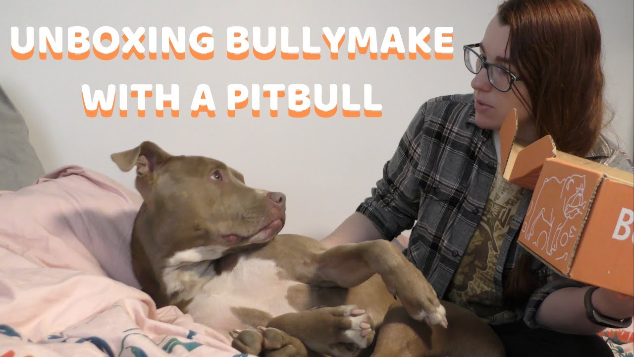 Распаковка февральских и мартовских коробок Bullymake.