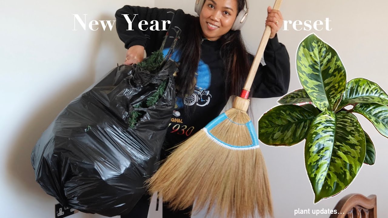 Reset with me for the New Year and plant updates Ep. 16