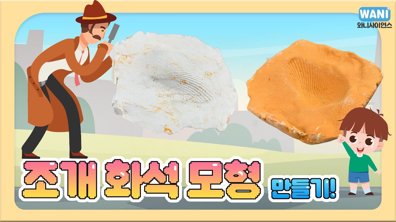 조개 화석 모형 만들기!(석고 가루형)