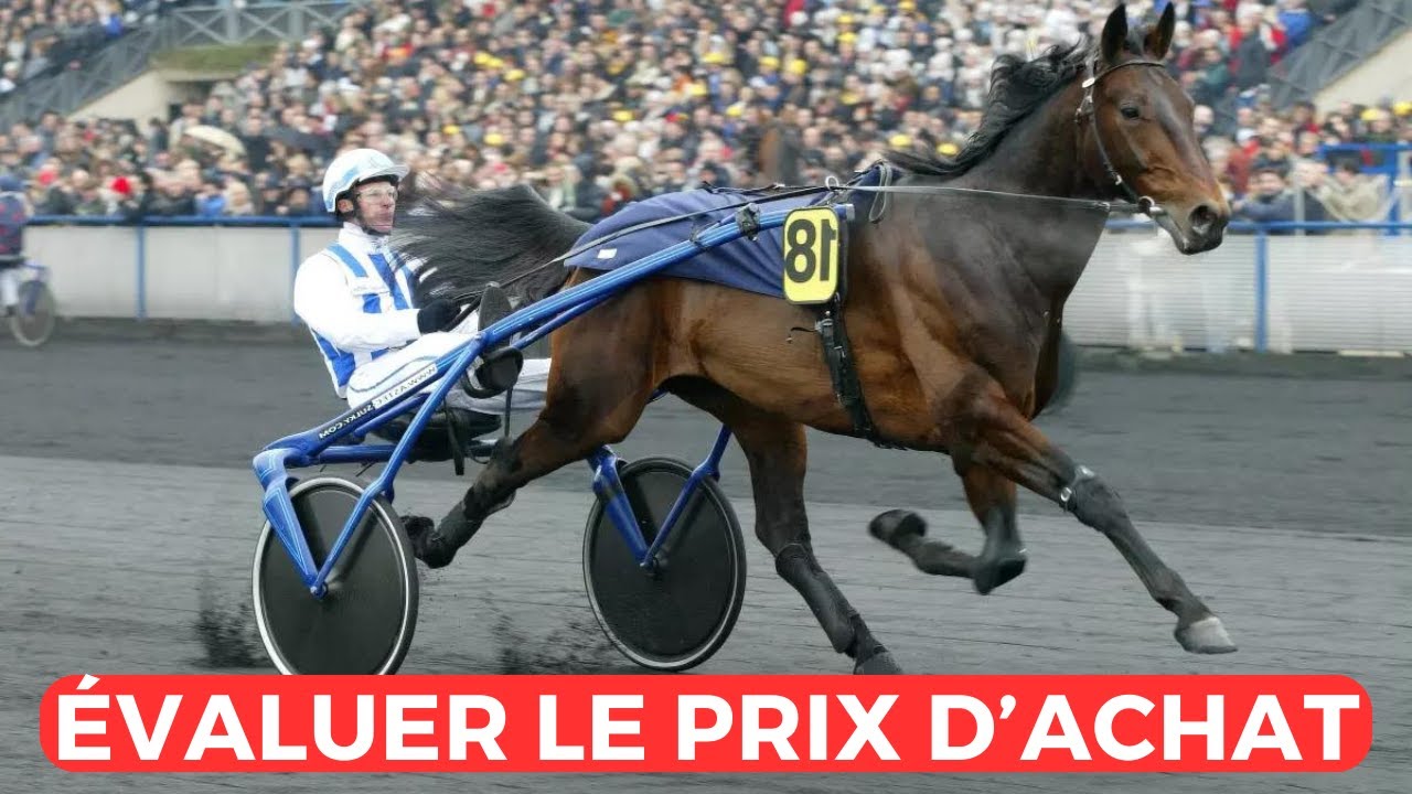 5 Critères pour Evaluer le Prix d'Achat d'un Trotteur