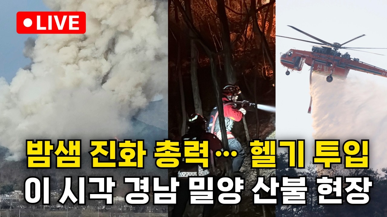 [밀양 산불]  헬기 투입 진화 시작...이 시각 현장 상황