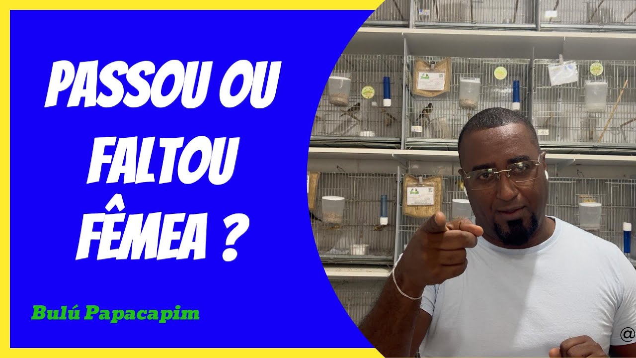 PASSOU OU FALTOU FÊMEA