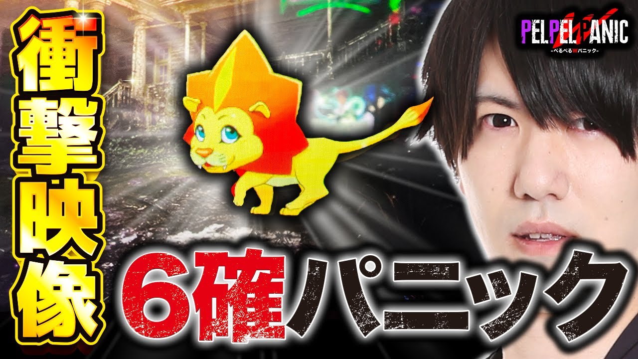 【ぺるぺるWパニック】設定6の破壊力!!!!!(パチスロ バイオハザード7)