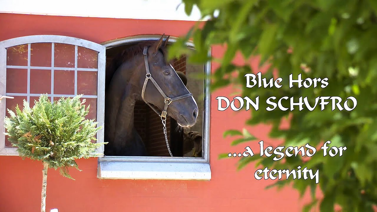 Blue Hors - 