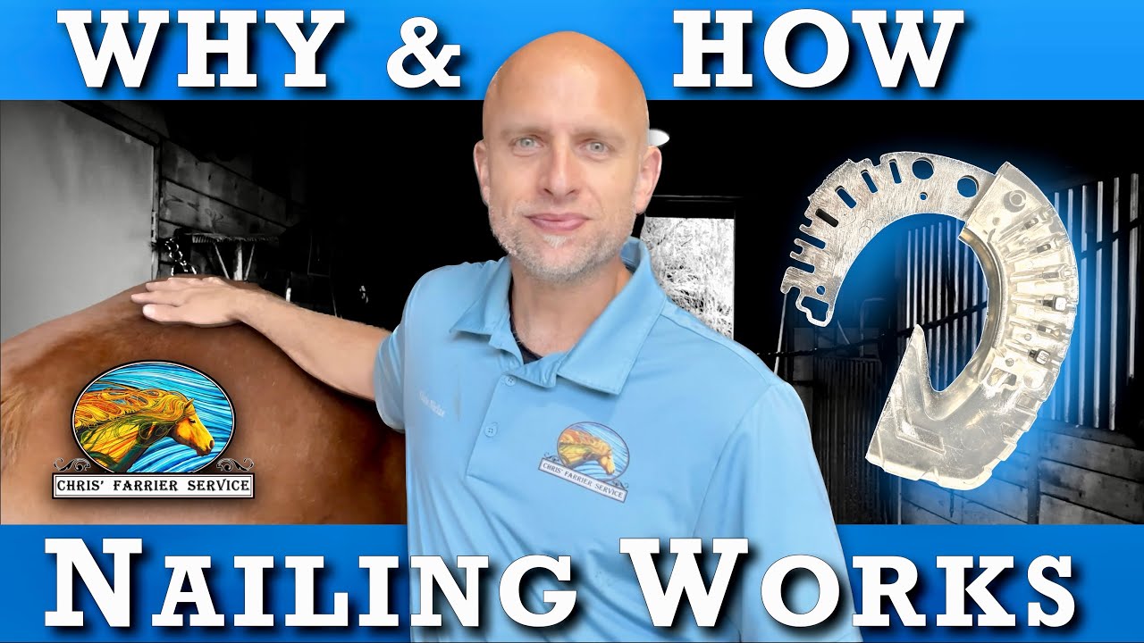 Nailing tips for composite horseshoes and a visual explanation on why it is possible. #interesting