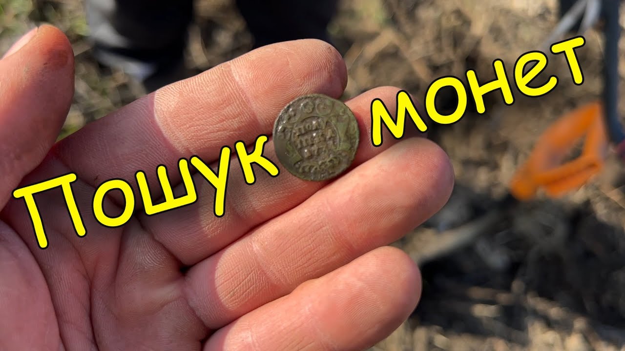 Багато монет на городиках. Коп монет 2025