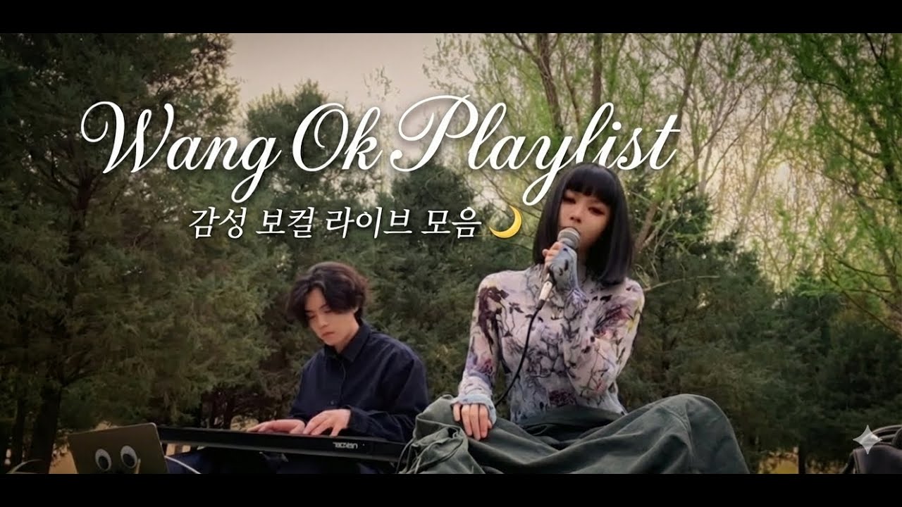 조회수 폭발했던 '그 감동 쇼츠' 원곡 Before Spring Ends 포함 | 왕옥(Wang OK) Best playlist