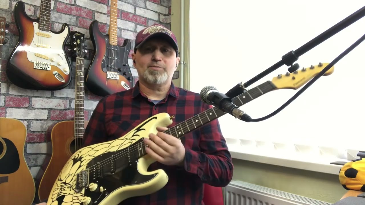 Fernandes strat limited edition