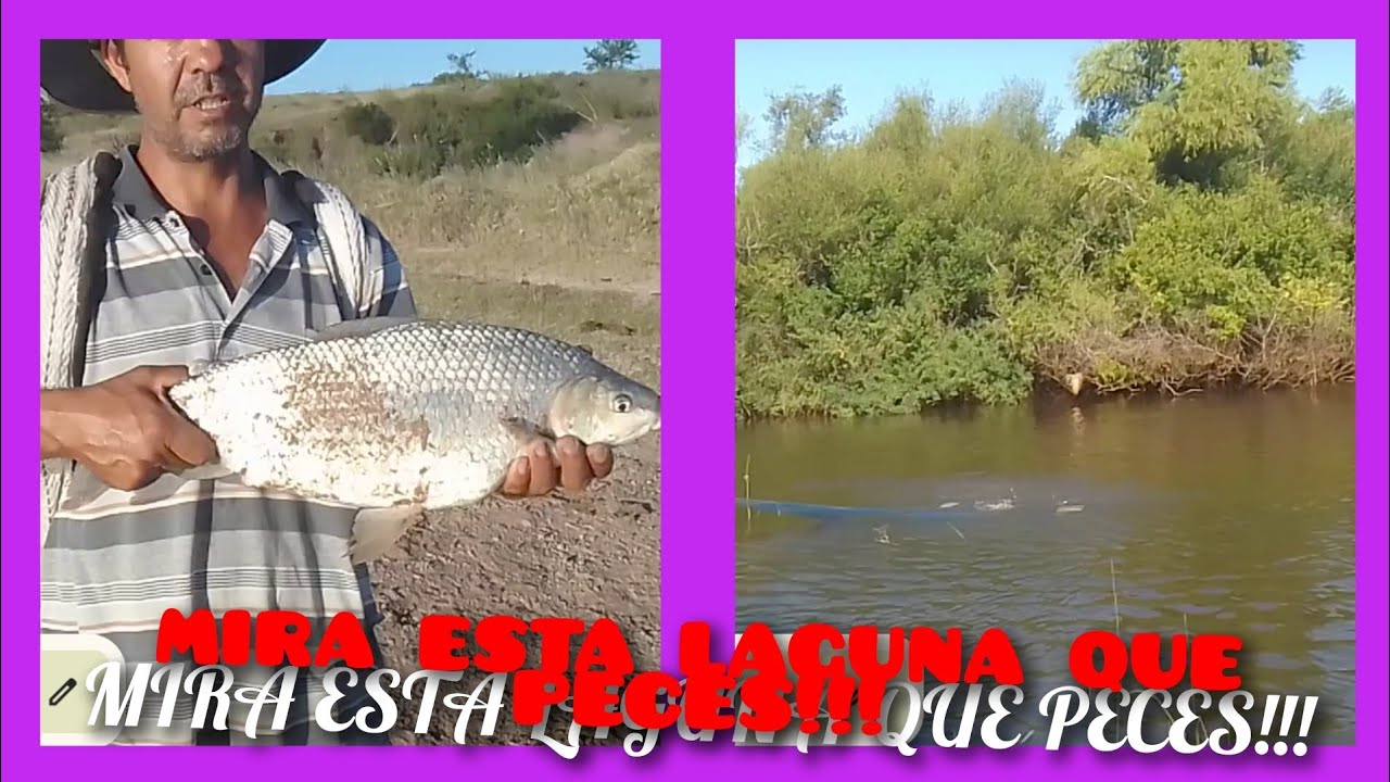 MIRA.!!! esta laguna que peces pesca con atarraya..