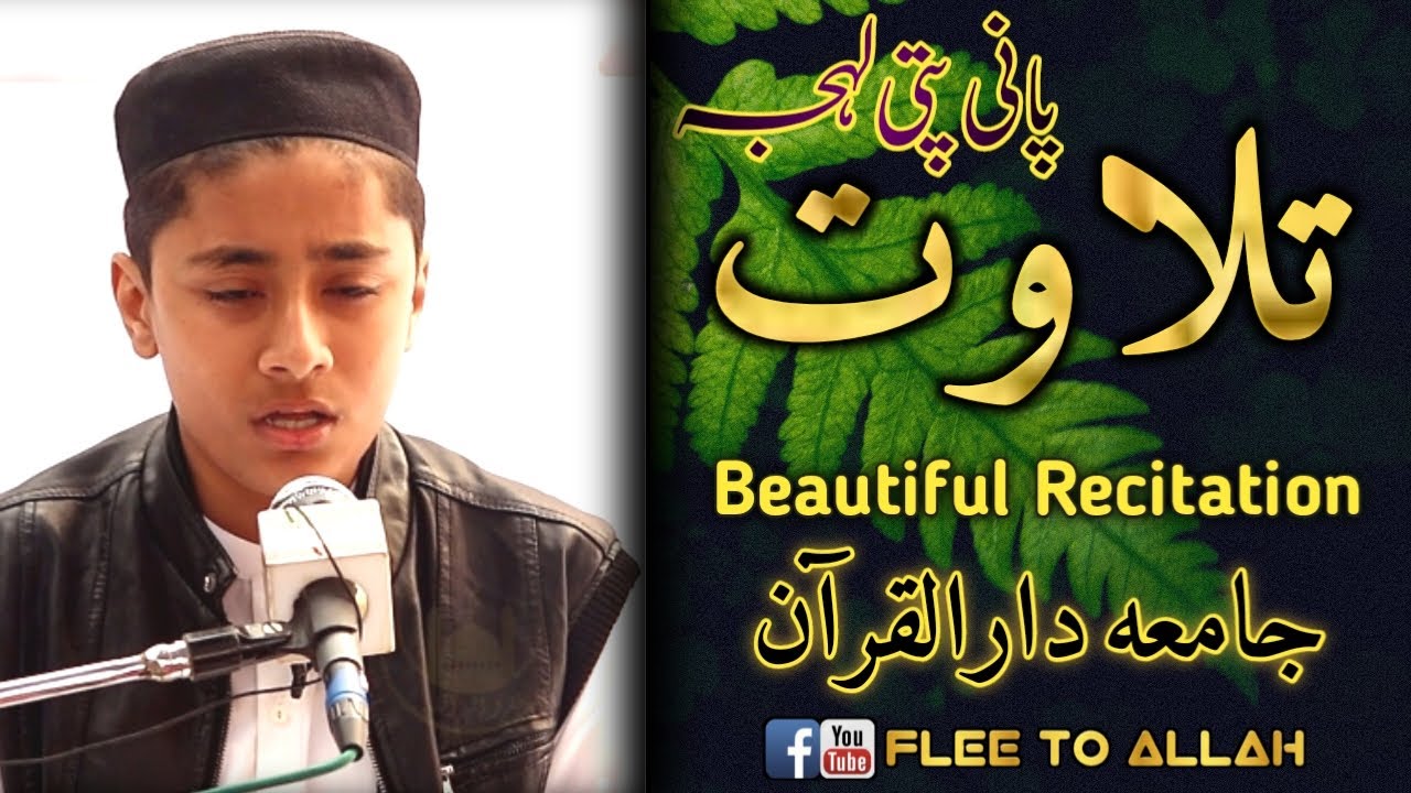best tilawat | flee to allah | tilawat panipati