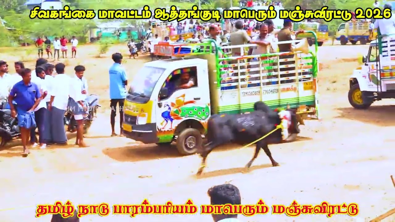 சிவகங்கை மாவட்டம் ஆத்தங்குடி மாபெரும் மஞ்சுவிரட்டு 2026💥🔥🔥🔥🔥🔥🔥🔥VIDEO பகுதி 2