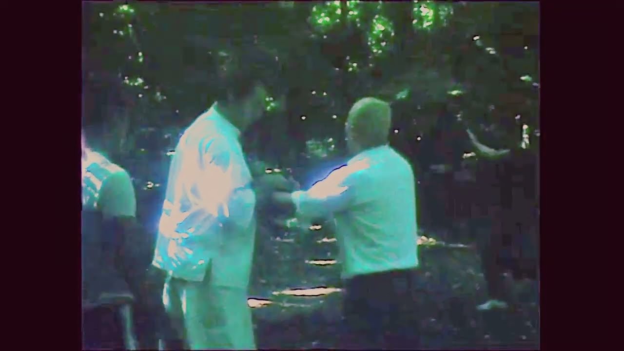 Taikiken Master Kenichi Sawai explains details of Taikiken moves to Jan Kallenbach in Meiji Jingu.