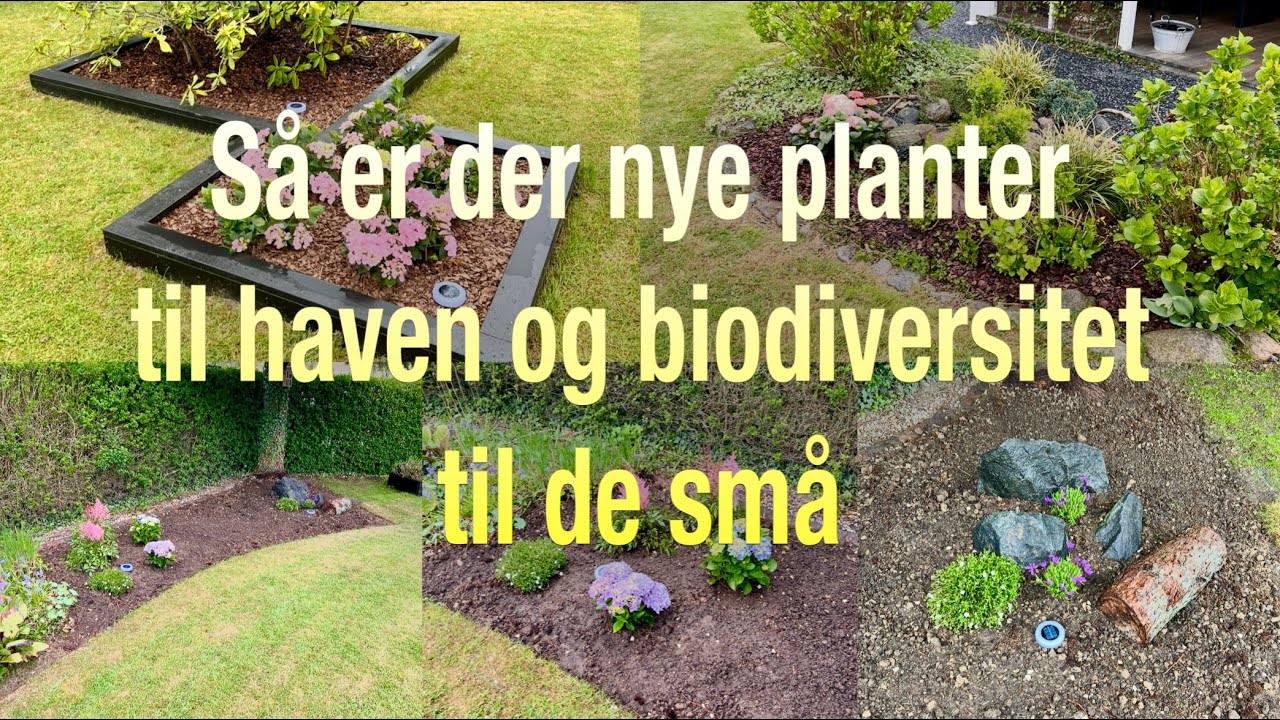 Ud i haven - Afsnit 5 🌸 Så skal der plantes masser af nye blomster og sås sommerblomster 🌹
