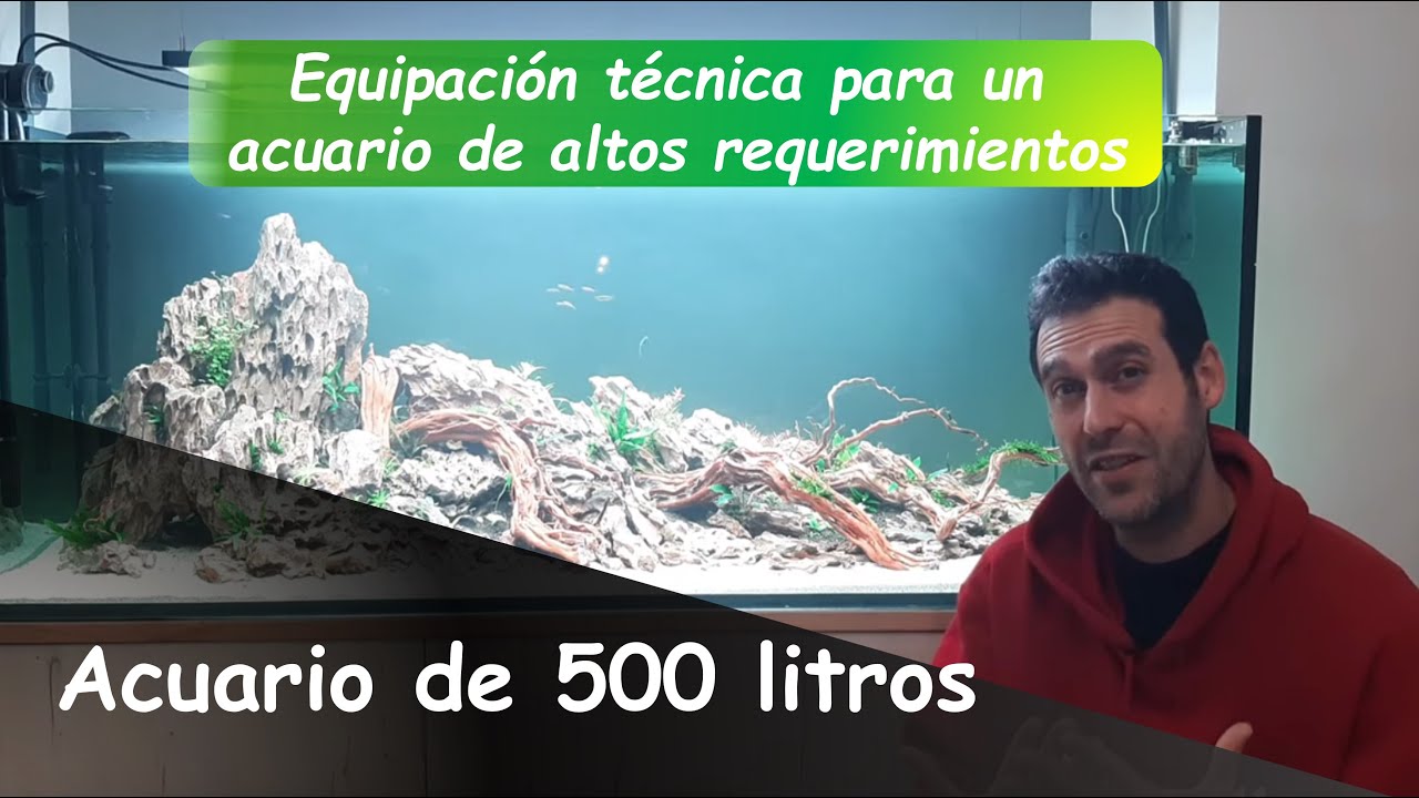 Acuario de 500 Litros: La Equipación Técnica de un Proyecto HIGH-TECH de gran Volumen de Agua