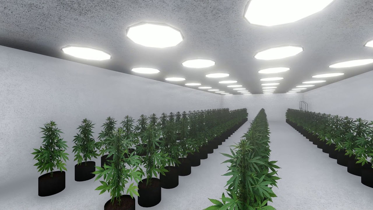 SunGrown Zero Flagship - 10,000sqft SoCal Cultivation Facility Rendering