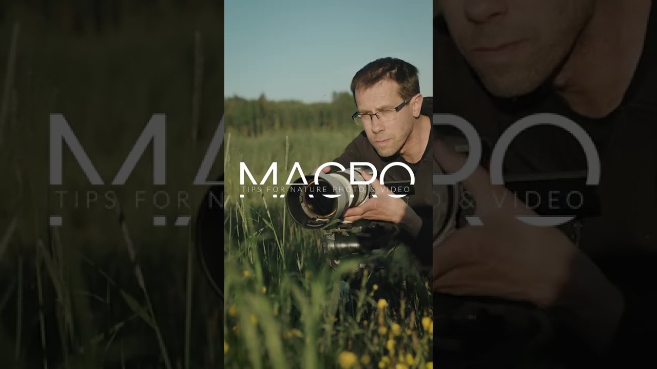 Tips for Macro Photography & Nature Videos #shorts