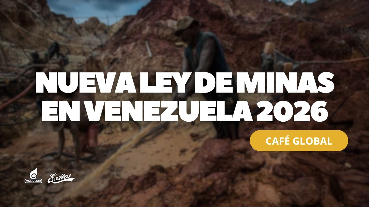 &iquest;Qu&eacute; renovaciones en la actual Ley de Minas son necesarias?