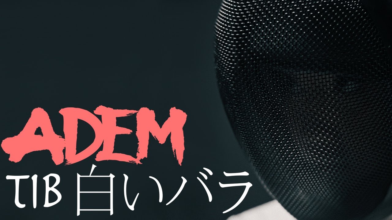 ADEM - TiB 白いバラ