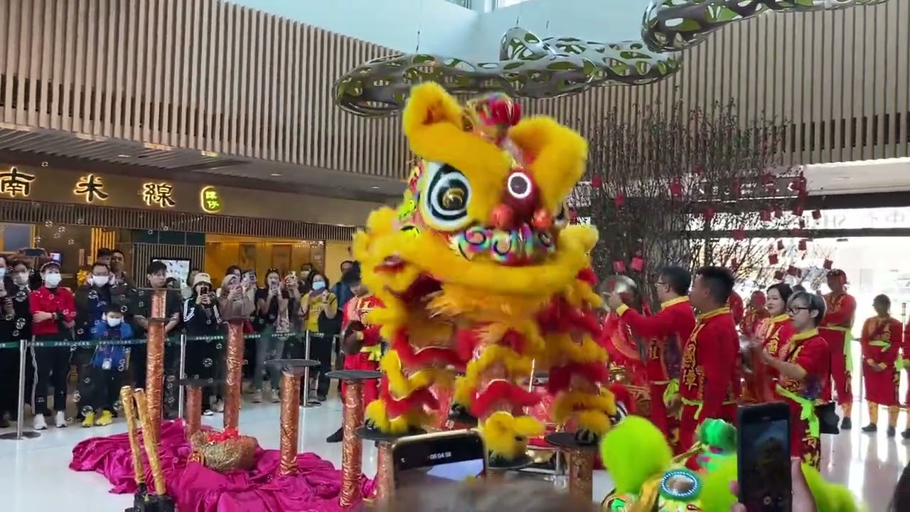 2024農曆新年沙田中心舞獅表演 ，一定要睇埋搞笑財神 #財神 18/02/2024