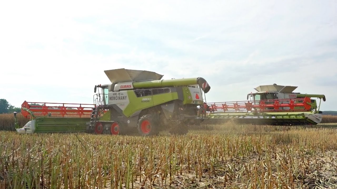 [MOTORSOUND] 4x CLAAS Lexion - 8800,6900,780,770 | Harvest 2023