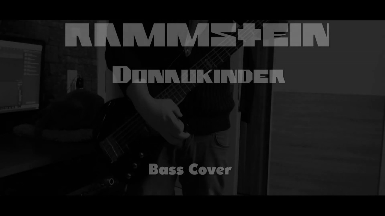 Rammstein- Donaukinder (Bass Cover)