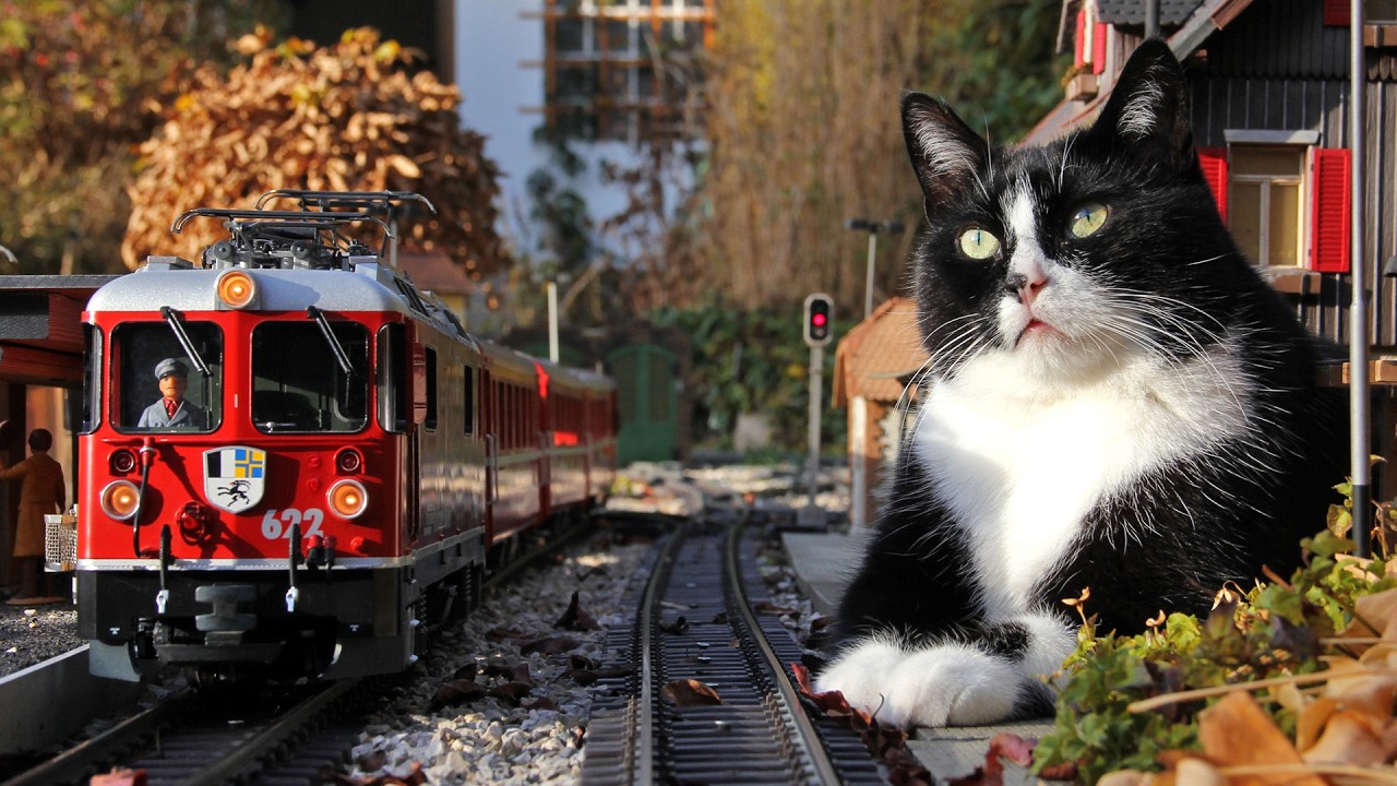 Gartenbahn Herbstimpressionen