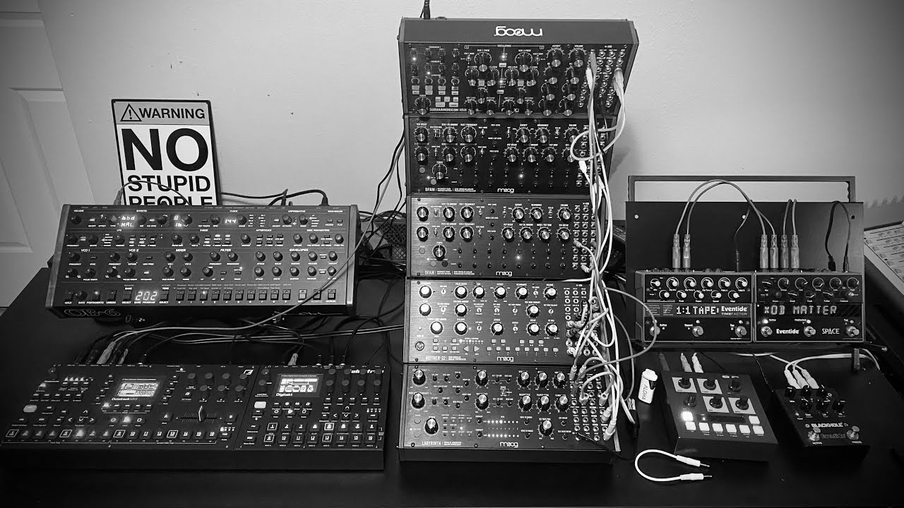 Oberheim OB-6, Moog Labyrinth, DFAMx2, SubH, Mother-32, Digitakt, Octatrack and FX #techno