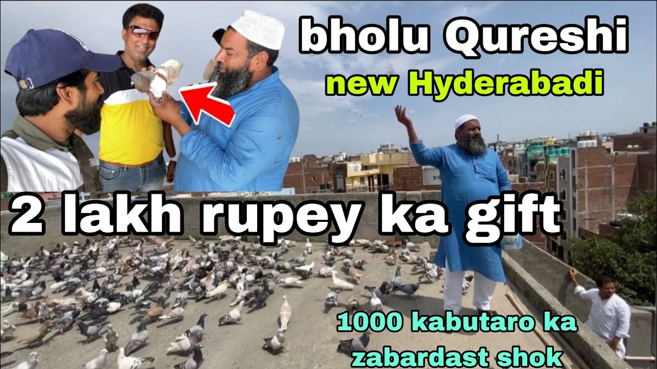 🙃2 lakh rupey ka kabutar gift😨Bholu Qureshi k new hydrabadi 😳 1000 kabootaro ka lashkar Zabardast