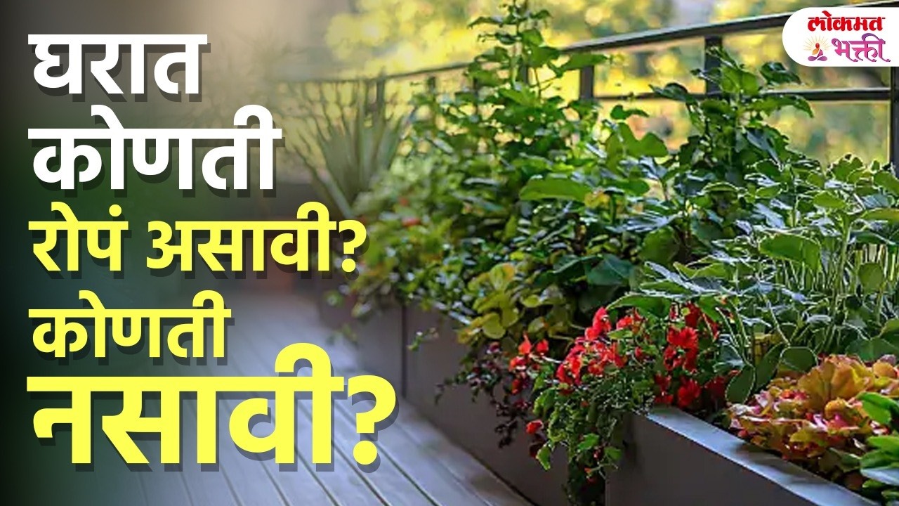 Wrong Plants = Negative Energy? 😱 | घरात कोणती झाडं ठेवू नयेत! | Home Vastu Plant Mistakes | KA3