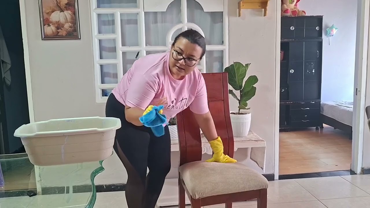 Limpiando a profundo las sillas de mi comedor 