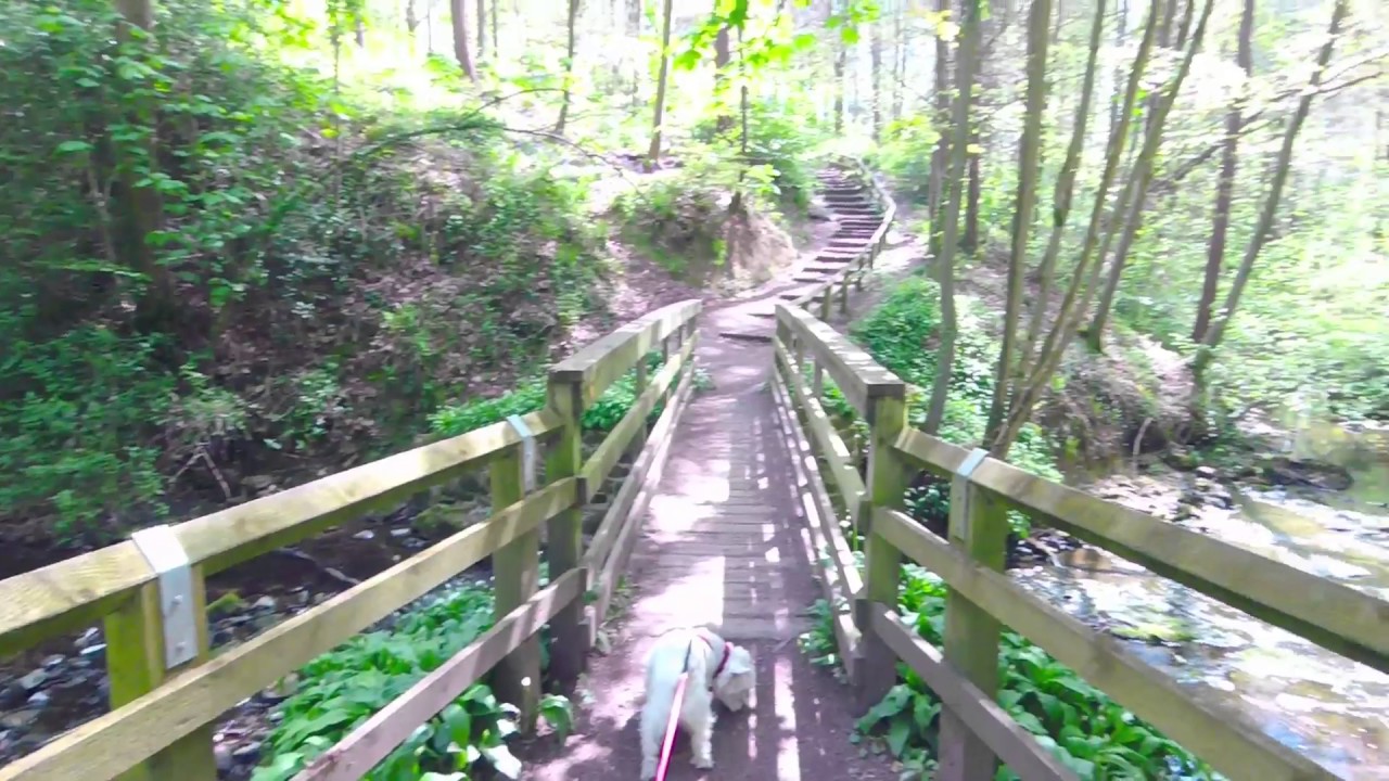 A riverside walk around Barnard Castle - North East Trip  2017 - Day 4