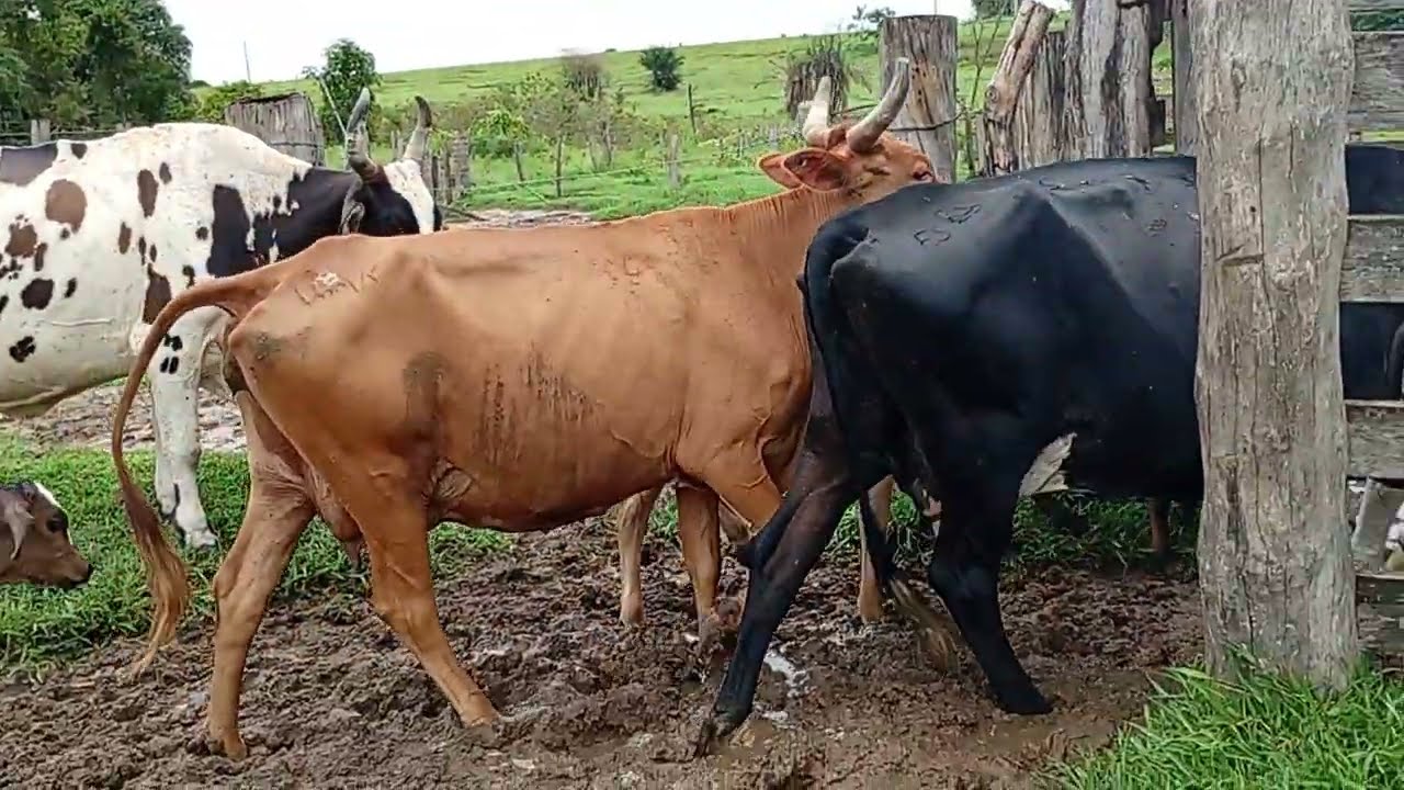 Este vídeo tem o poder de mudar sua percepção de vida 