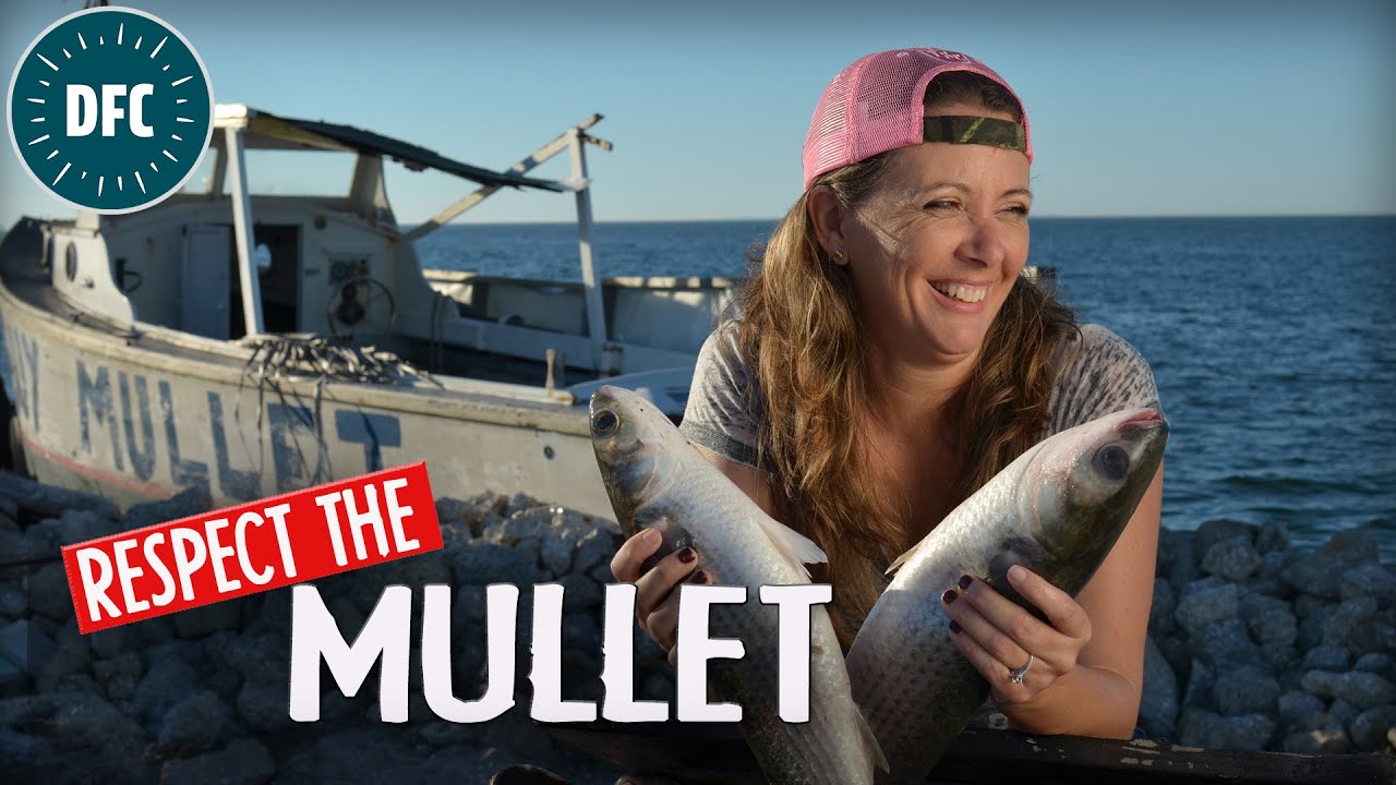 Respect the Mullet - How to do Florida