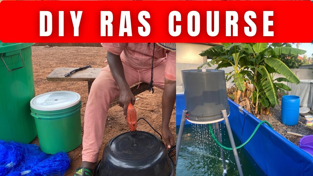 DIY RAS Course Simplified