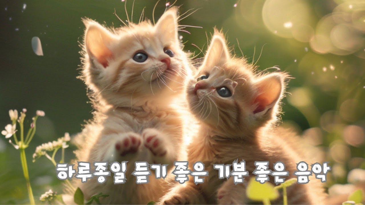 괜히 웃음 나는 날 🌷 기분 좋은 힐링 플레이리스트