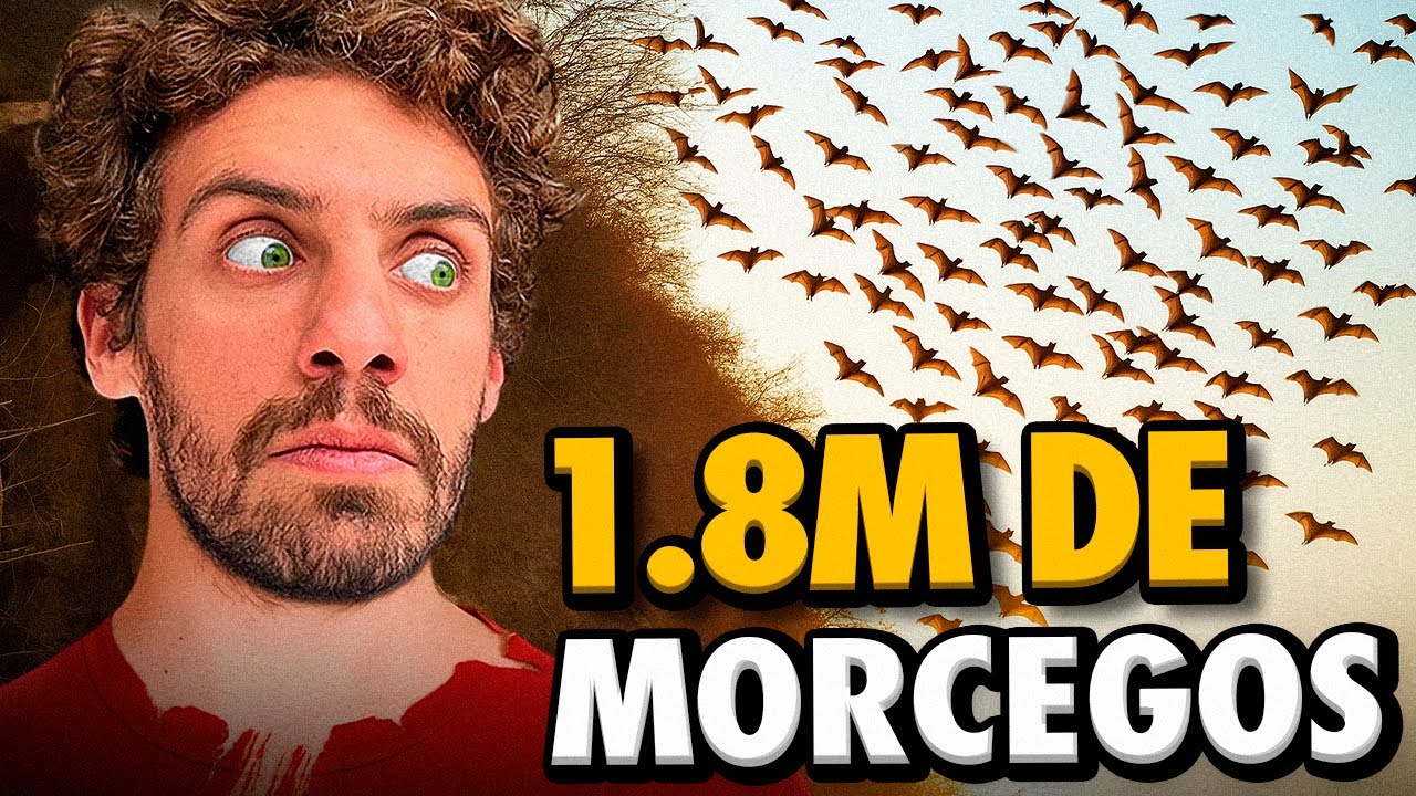 Fui a vila com MAIS MORCEGOS DO MUNDO