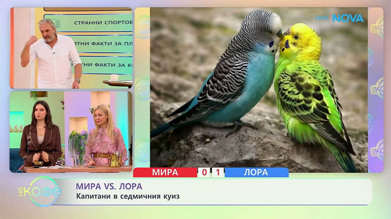 Мира VS Лора | Капитани в седмичния куиз | На кафе | 17 февруари 2026