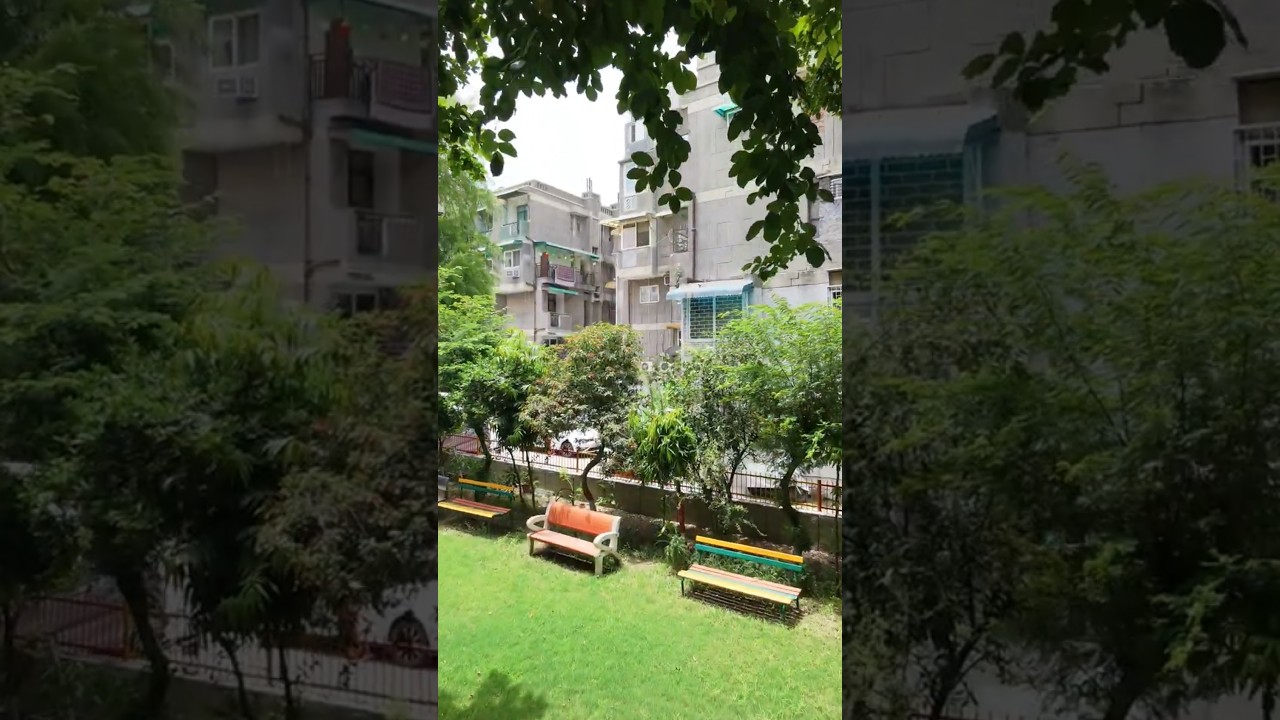 Beautiful Weather in Delhi 🌤️🍃Cool breeze, fresh air, and perfect vibes. 💚#DelhiWeather #shorts