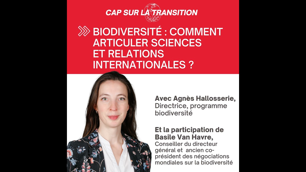 Biodiversité : comment articuler sciences et relations internationales ?